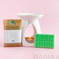 Wosk-zapachowy-do-kominka-ceramicznego-Zielony-rytual-swiezy-herbaciany-aromat-Wonka.jpg