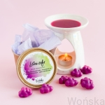 Wosk zapachowy Letni Zefir