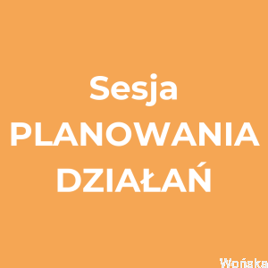 „Zaplanuj swoje działania” – sesja PLANOWANIA DZIAŁAŃ