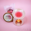 Kwiat-bogini-wosk-zapachowy-do-kominkow-ceramicznych-wonska-wosk-sojowy (3).jpg